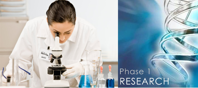 Phase 1 Research 696 x 311